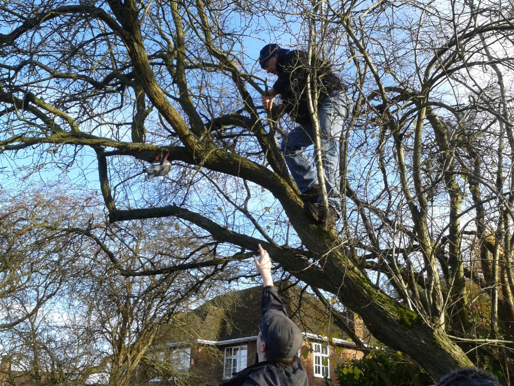 2013-12-08 RFC1149 Paul Climbing Tree