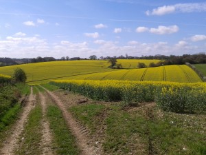 2014-04-09 Hockeridge - View from top of hill across fields